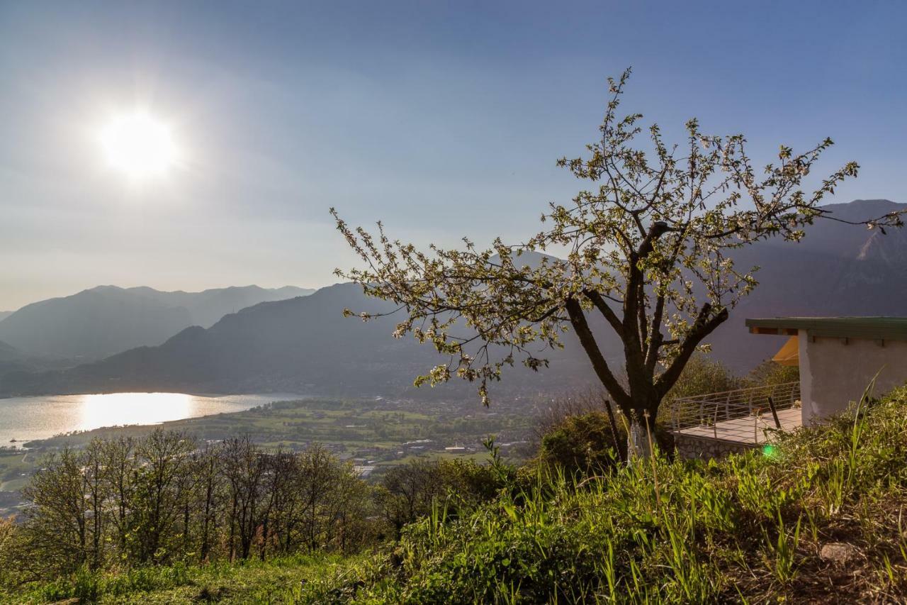 Agriturismo Alveare Sul Lago Пизонье Экстерьер фото